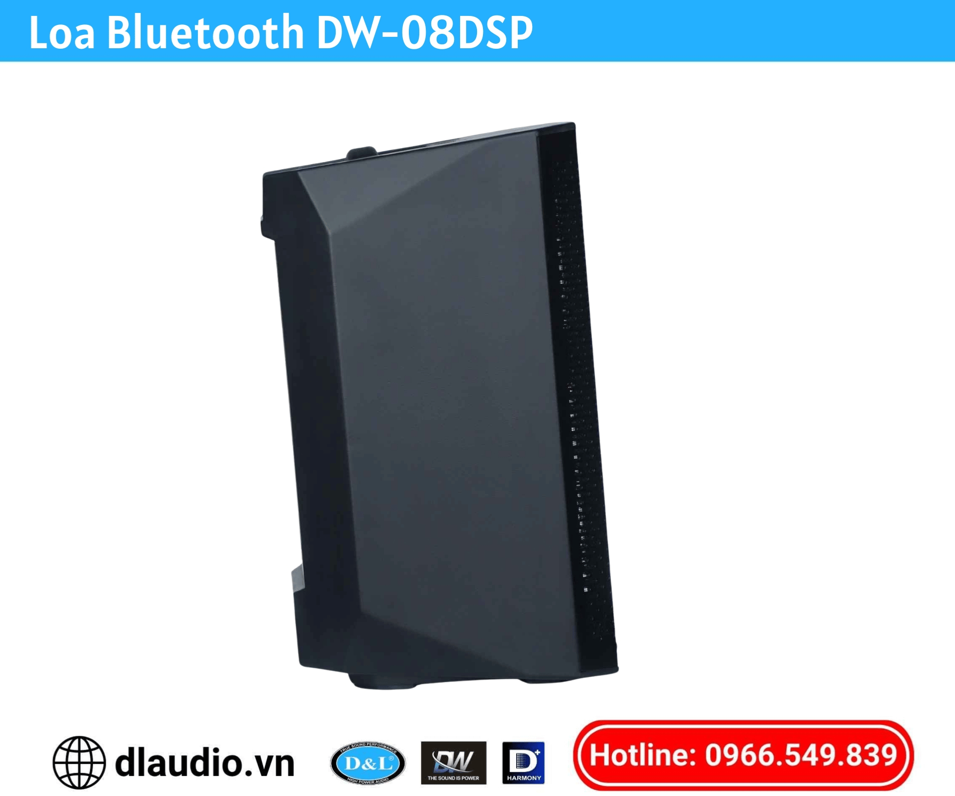 Loa bluetooth
DW-08DSP