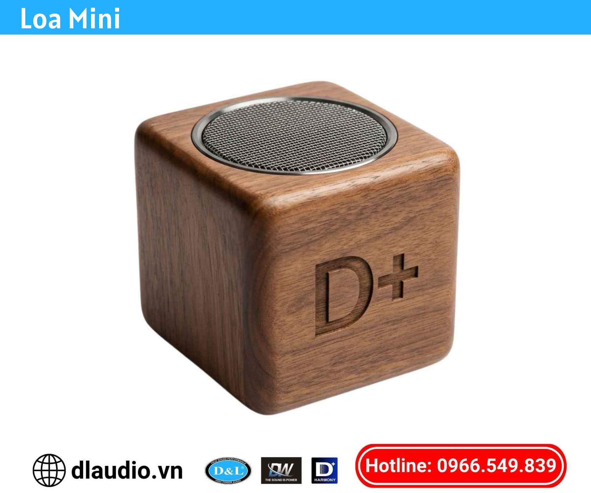 Loa Mini