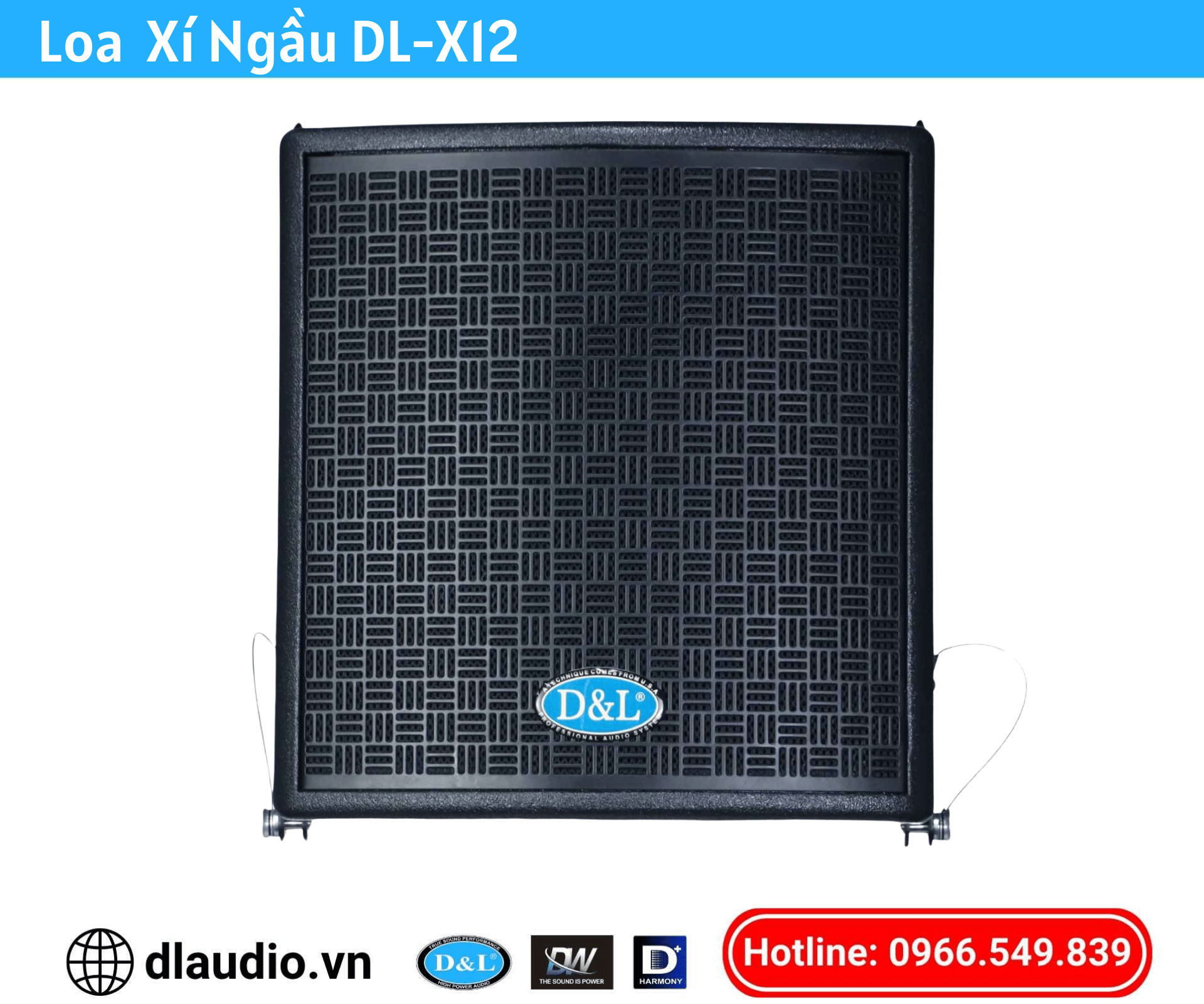 Loa Đồng Trục DL-X12